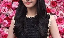 娱乐圈揭秘爆料郑爽,真相与争议背后的故事